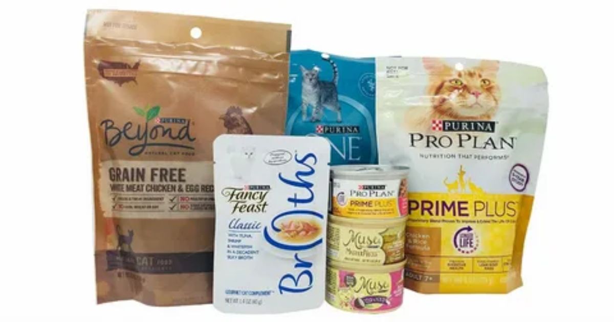 Understanding Ingredient Labels on Cat Food