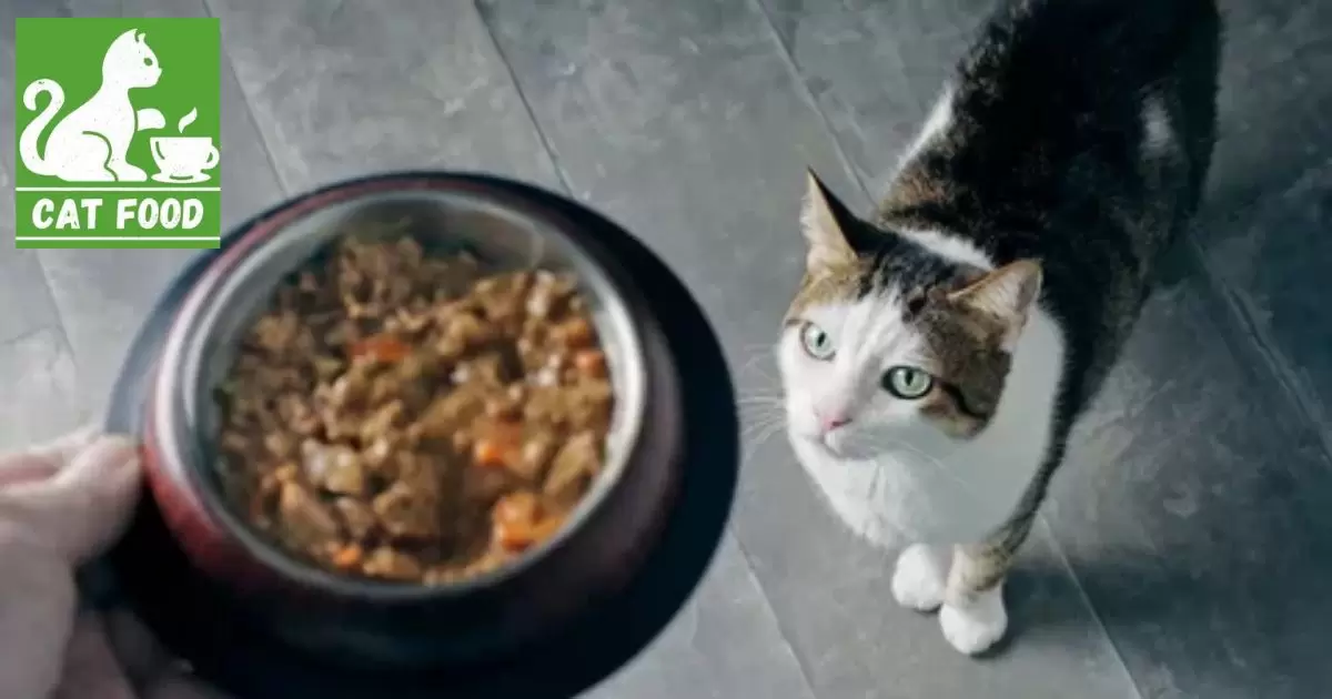 What Is The Worst Cat Food?