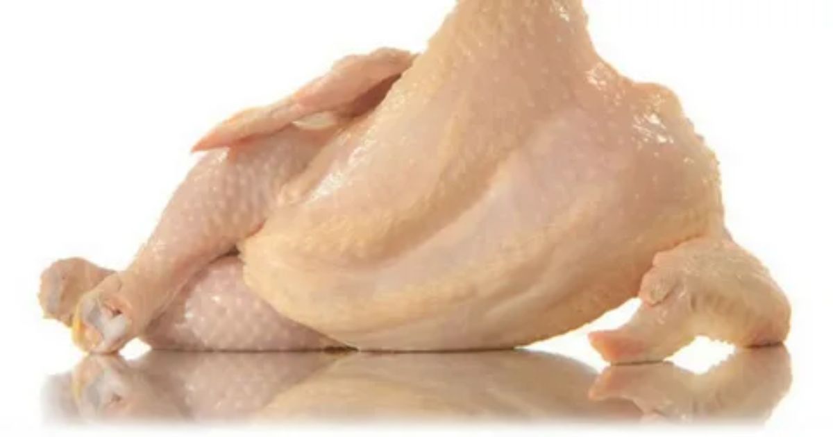 Why is chicken meal used in pet food?