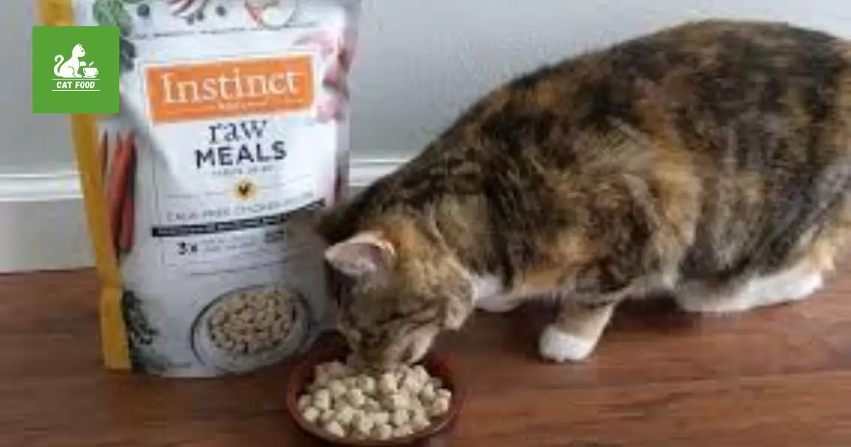 An Overview of Instinct Cat Food