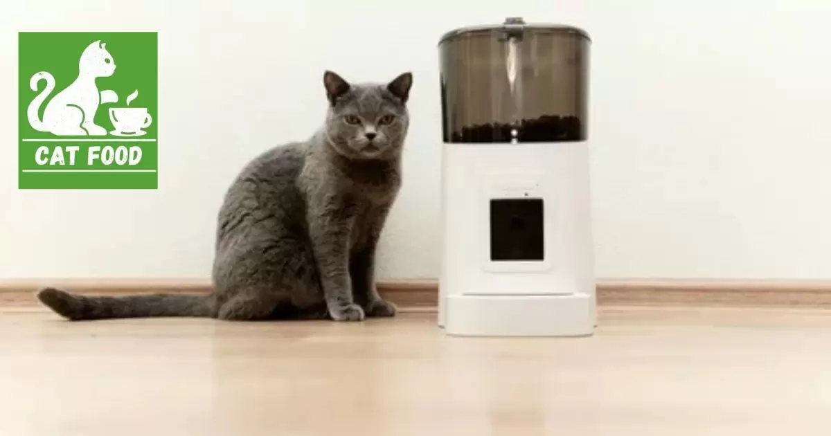 Automatic Wet Food Feeders