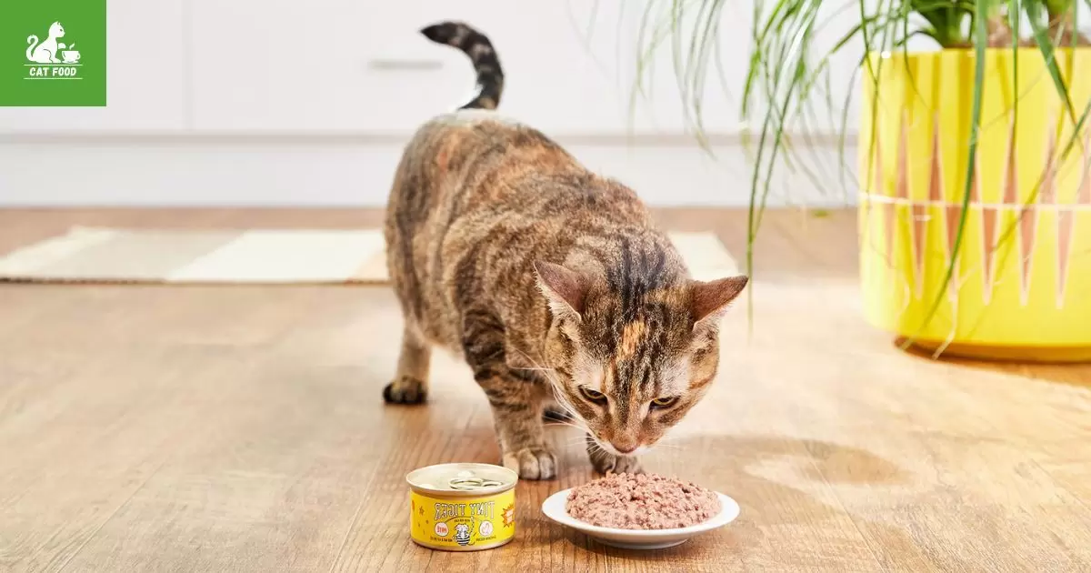 Benefits of Feeding Pate to Cats