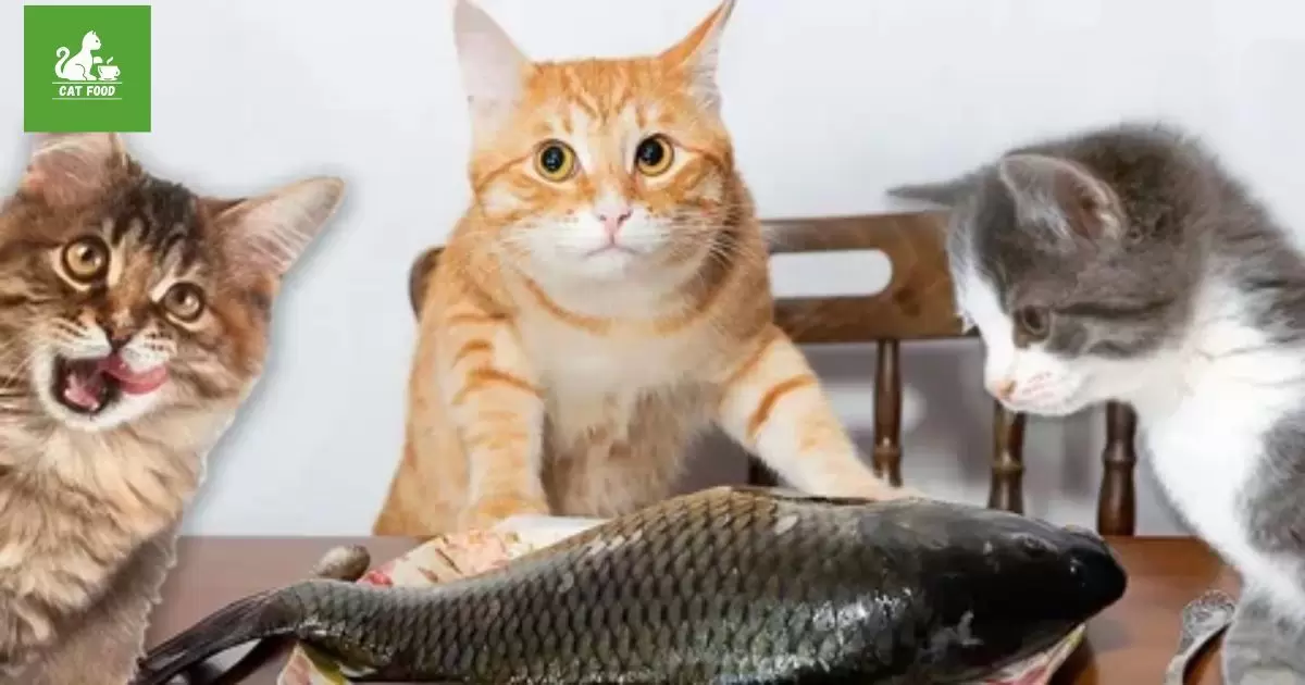 Can Cats Eat Fish Food?