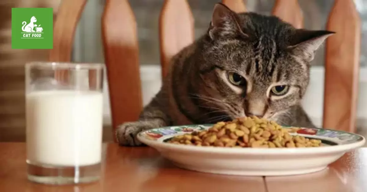 Do Cats Get Bored Of The Same Food?