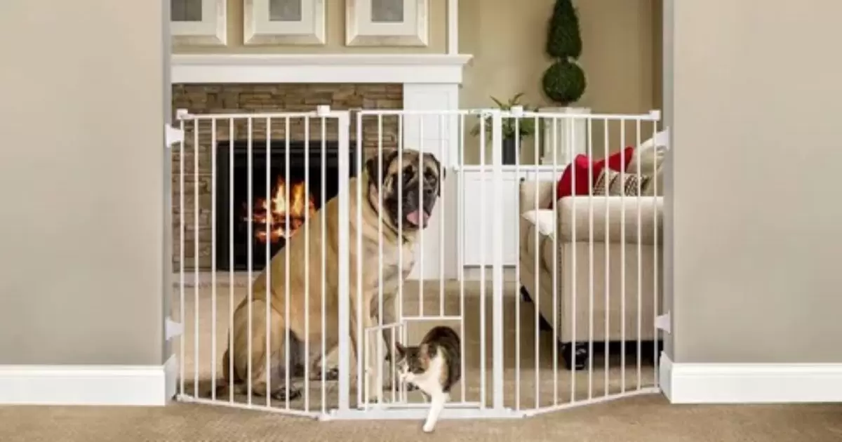 feed your pets in separate rooms by setting up a pet gate or a cat door