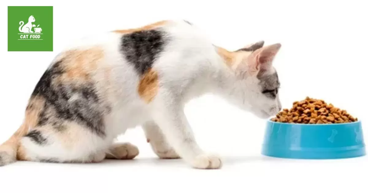 Feline Feast: Affordable Smalls Cat Food Options