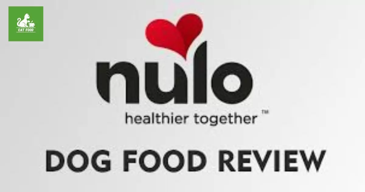 How Does Nulo Compare to Competitors?