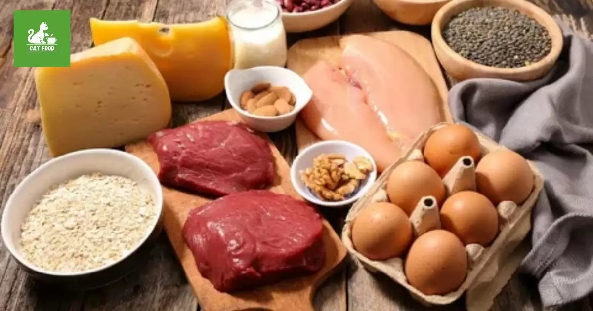 Ingredients: High-Quality Animal Proteins & Probiotics