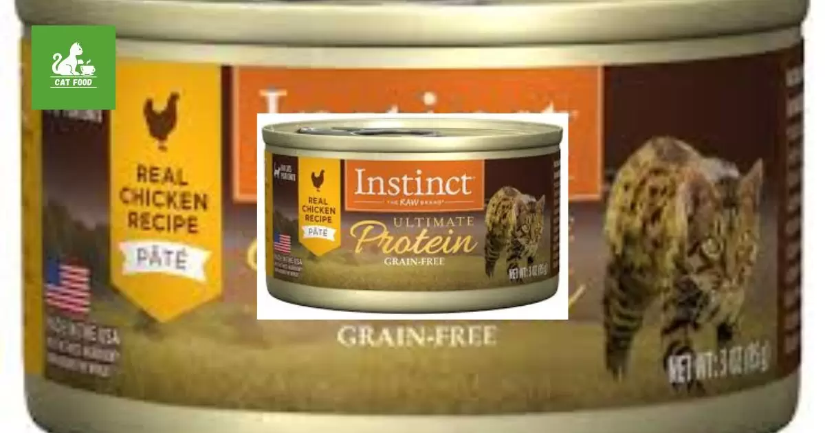 Is Instinct Good Cat Food?