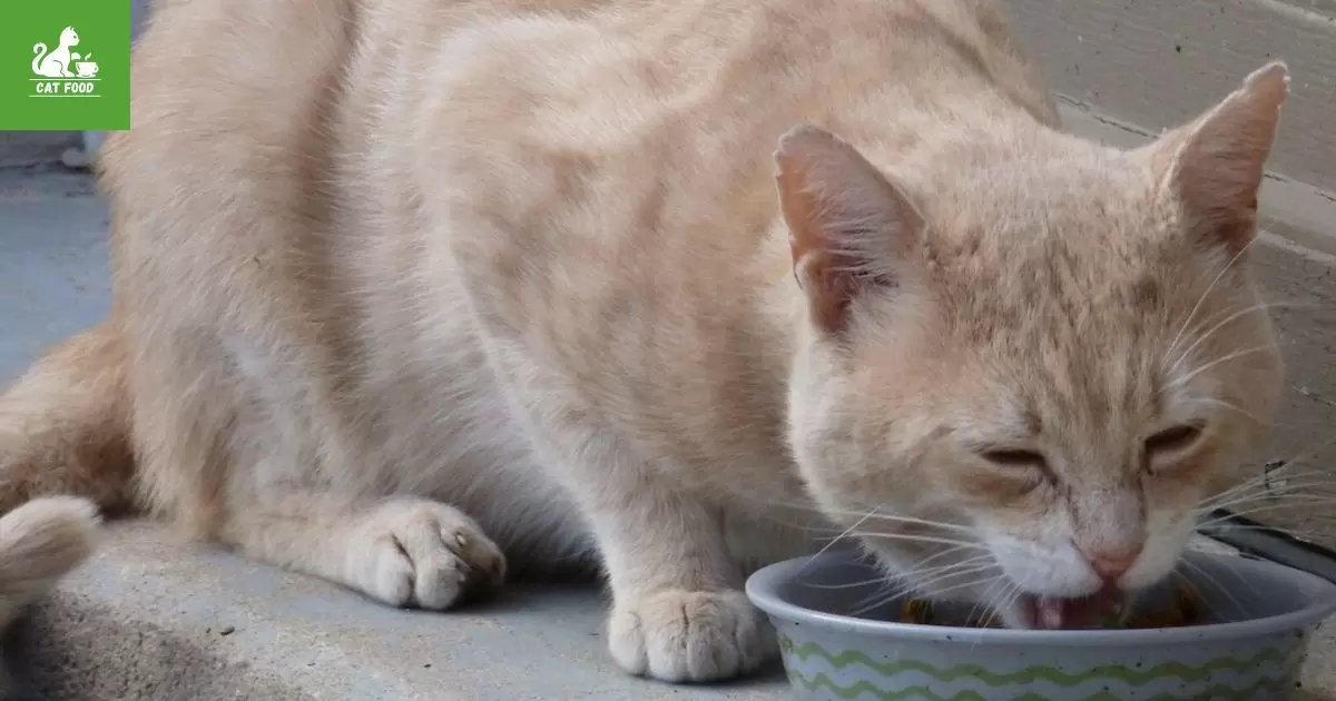 Obligate Carnivores: Understanding Cats' Dietary Needs
