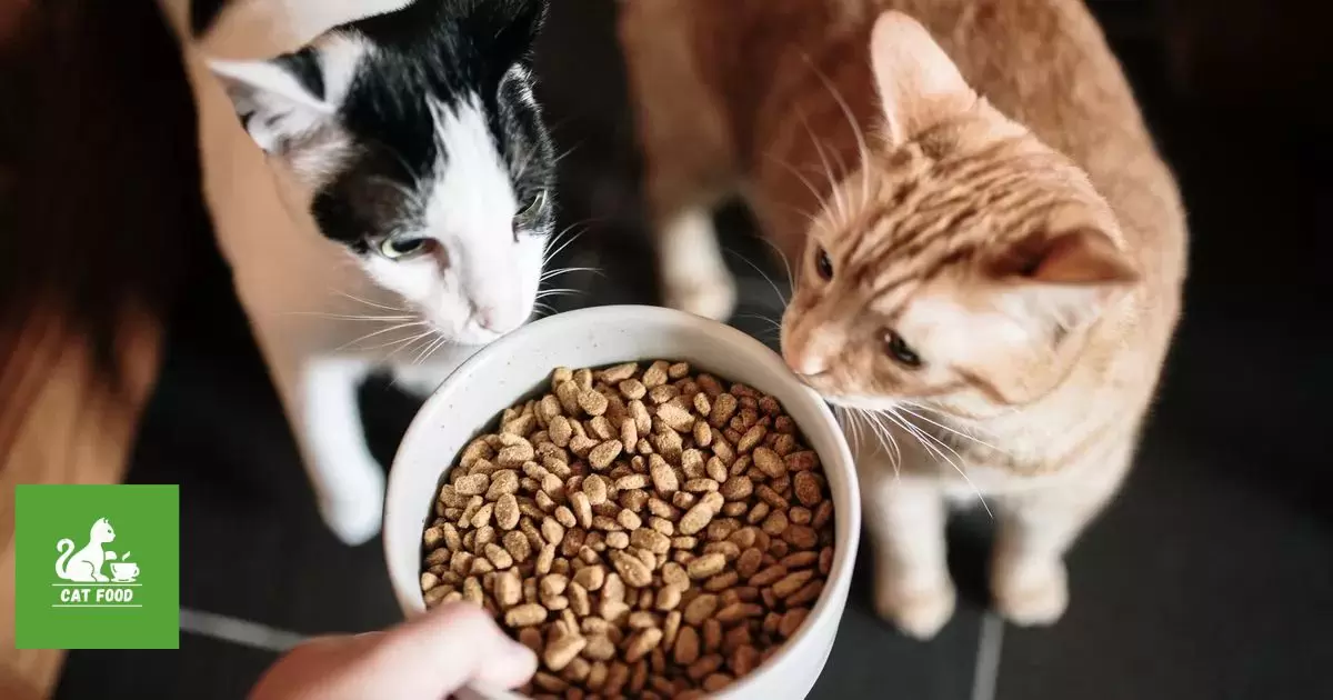 Penny Purrs: Smalls Cat Food Cost Analysis