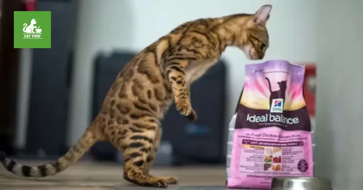 Potential Downsides to Feeding Authority Cat Food