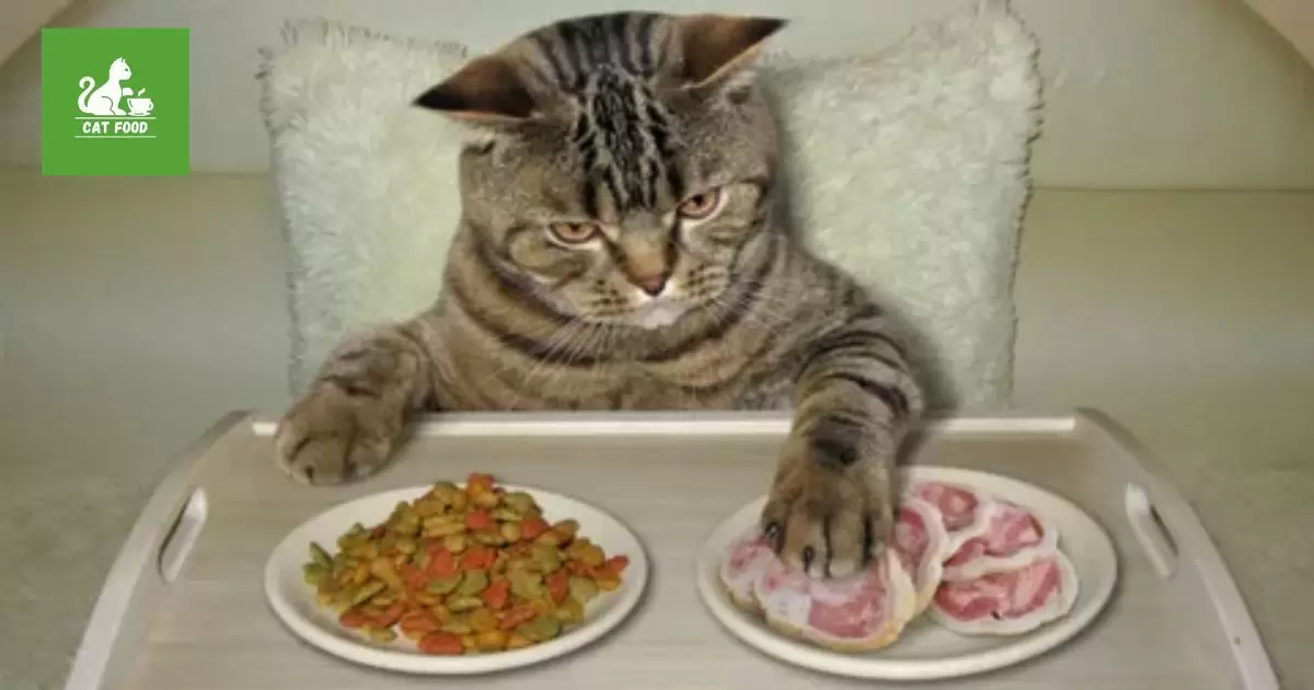 The Answer: Yes, Cats Do Get Bored Of Their Food