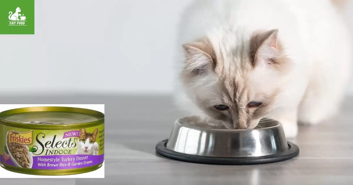 Top Food Brands for Indoor Cats