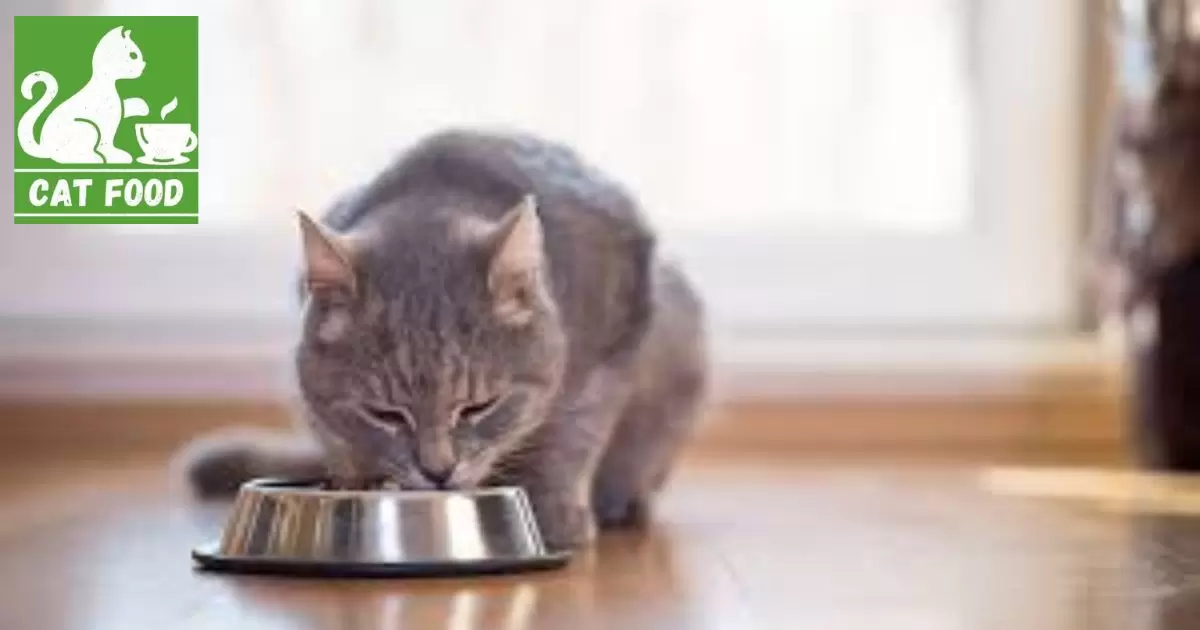 Understanding Feline Nutritional Requirements