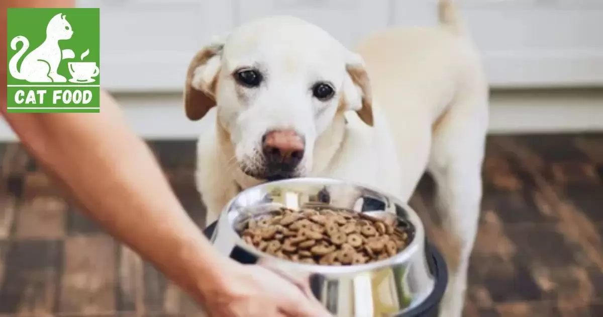 Understanding Pet Food Labels and Consulting Professionals