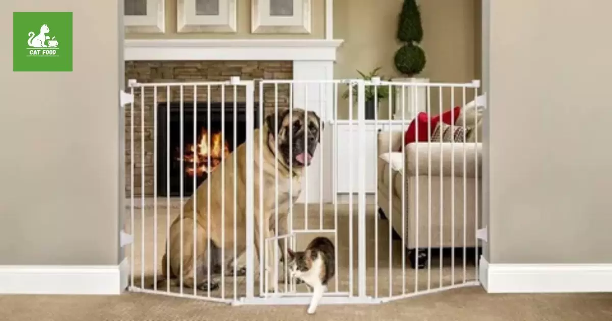 utilizing baby gates for restricting cat dining areas