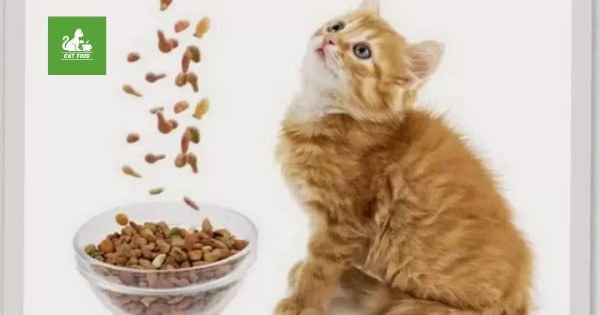 What is the average price for small cat food?
