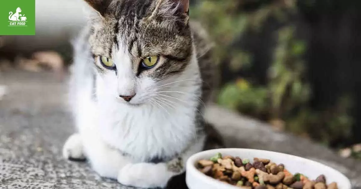 What Is The Difference Between Indoor And Outdoor Cat Food?