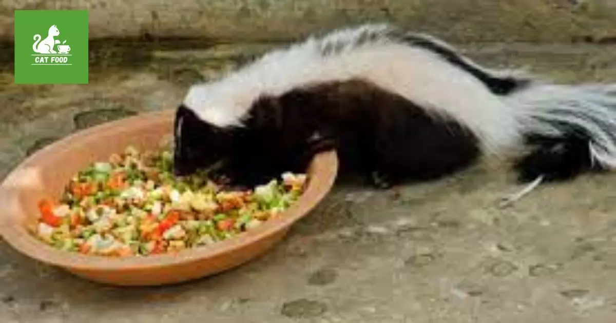 Why Skunks Don't Rely on Cat Food