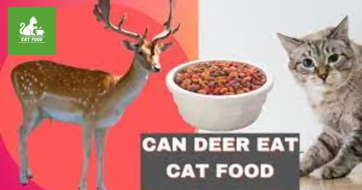 Will Deer Eat Cat Food?
