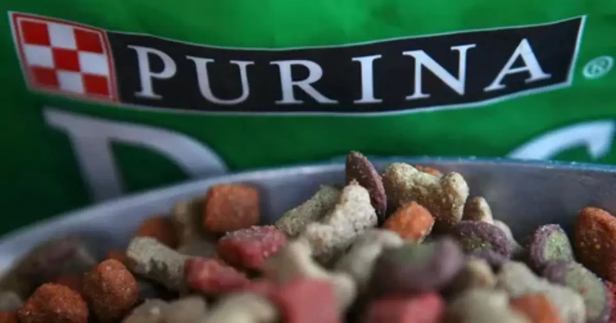 Is Purina Pro Plan A Good Cat Food?
